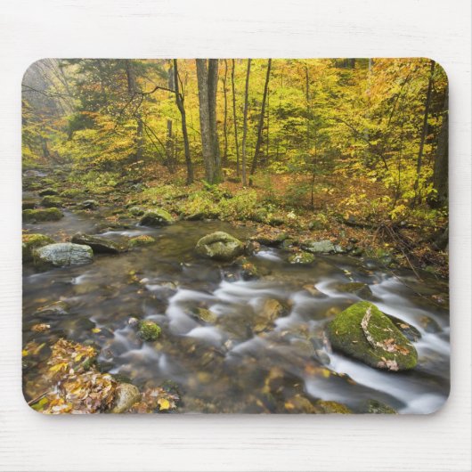 Sanderson Brook. Chester-Blanford Staat Forest. Mousepad (Vorne)