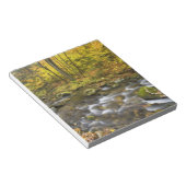 Sanderson Brook. Chester-Blanford Staat Forest. Notizblock (angewinkelt)
