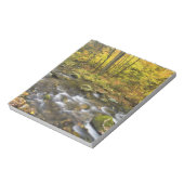 Sanderson Brook. Chester-Blanford Staat Forest. Notizblock (Rotiert)