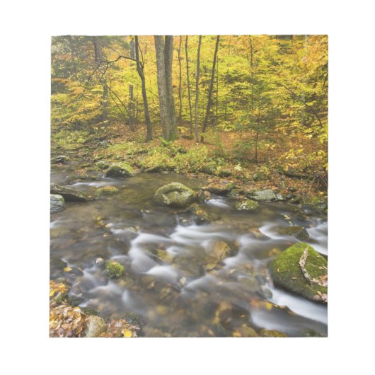 Sanderson Brook. Chester-Blanford Staat Forest. Notizblock (Vorderseite)
