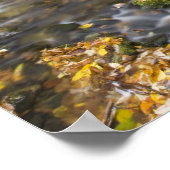Sanderson Brook. Chester-Blanford Staat Forest. Poster (Ecke)