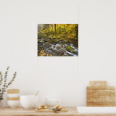Sanderson Brook. Chester-Blanford Staat Forest. Poster (Küche)