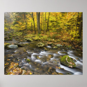 Sanderson Brook. Chester-Blanford Staat Forest. Poster
