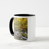 Sanderson Brook. Chester-Blanford Staat Forest. Tasse (Vorderseite Links)