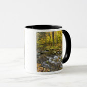 Sanderson Brook. Chester-Blanford Staat Forest. Tasse (VorderseiteRechts)