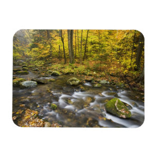 Sanderson Brook. Chester-Blanford State Forest. Magnet