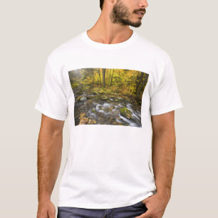 Sanderson Brook. Chester-Blanford State Forest. T-Shirt
