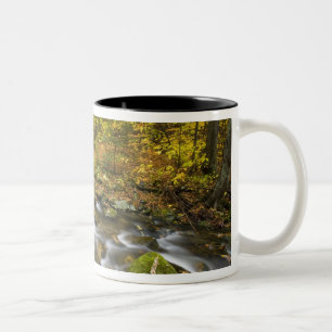 Sanderson Brook.  Chester-Blanford State Forest. Zweifarbige Tasse