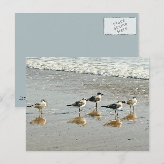 Sandfänger am Meeresufer Postkarte (Vorne/Hinten)