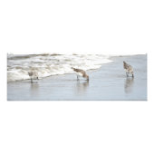 Sandfänger am Strand Großes Foto Print (Vorne)