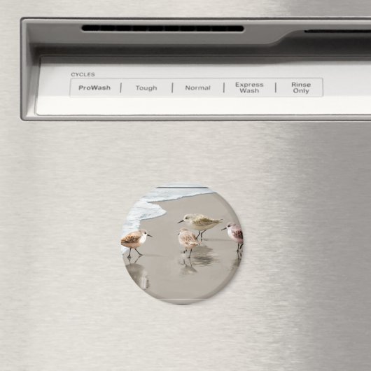 Sandfänger an der Küste Magnet (In Situ (Geschirrspüler))