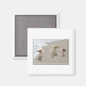 Sandfänger an der Küste Magnet (Vorderseite/Rückseite)