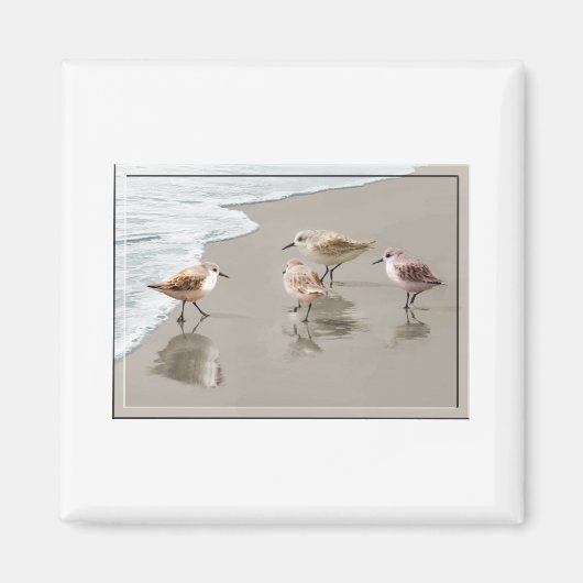 Sandfänger an der Küste Magnet (Vorne)