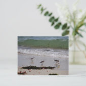 Sandfänger Postkarte (Stehend Vorderseite)