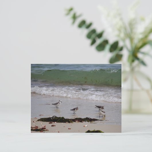 Sandfänger Postkarte (Stehend Vorderseite)