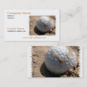 Sandgrube-Visitenkarte Visitenkarte (Vorne/Hinten)