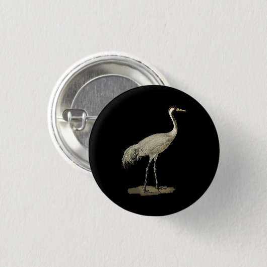 Sandhill Crane Antigone Canadensis Bird Nor Button (Vorne & Hinten)
