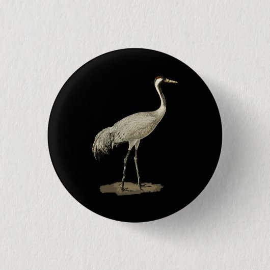 Sandhill Crane Antigone Canadensis Bird Nor Button (Vorderseite)