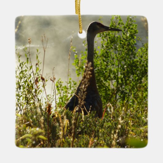 Sandhill Crane bei Moose Ponds in Grand Teton Keramikornament (Vorderseite)