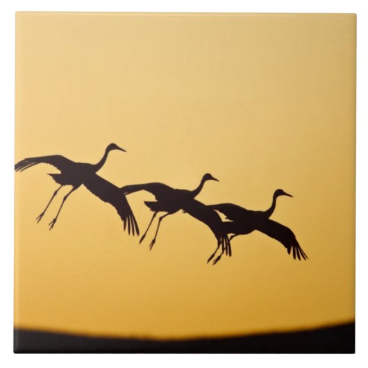 Sandhill Crane bei Sonnenuntergang Fliese (Vorderseite)