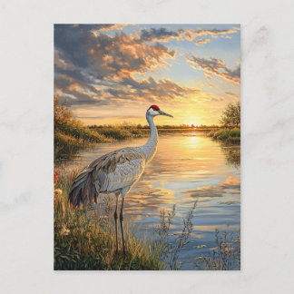 Sandhill Crane bei Sunset Postkarte