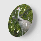 Sandhill Crane Bird Foto Runde Wanduhr (Winkel)