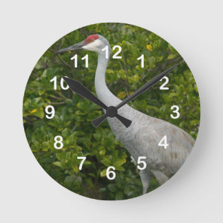 Sandhill Crane Bird Foto Runde Wanduhr