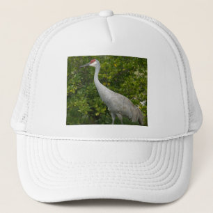 Sandhill Crane Bird Foto Truckerkappe