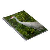 Sandhill Crane Bird Green Blätter Foto Notizblock (Rechte Seite)