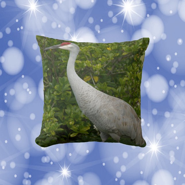 Sandhill Crane Bird vor dem Grünen Foto Kissen (A throw pillow featuring a photo of a sandhill crane bird.)