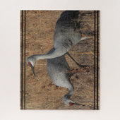 Sandhill Crane Birds Wildlife Animal Jigsaw Puzzle (Vertikal)