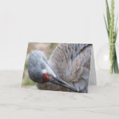 Sandhill Crane Blank Note Card Karte (Vorderseite)