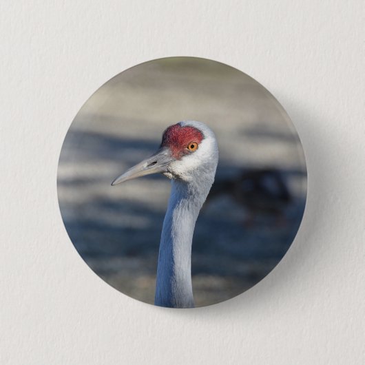 Sandhill Crane Button (Vorderseite)