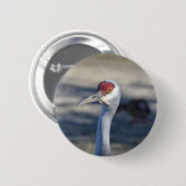 Sandhill Crane Button (Vorne & Hinten)