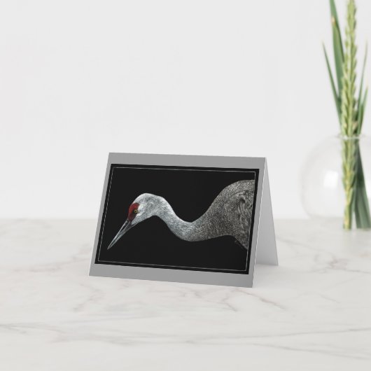 Sandhill Crane Card Karte (Vorderseite)