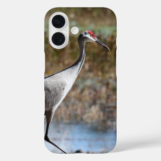 Sandhill Crane Case-Mate iPhone Hülle (Rückseite)