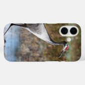 Sandhill Crane Case-Mate iPhone Hülle (Rückseite (Horizontal))