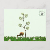 Sandhill Crane Colt (Küken) Postkarte (Rückseite)