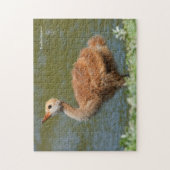 Sandhill Crane Colt Puzzle (Vertikal)