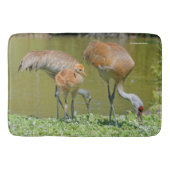 Sandhill Crane Eltern und Küken Badematte (Vorderseite)