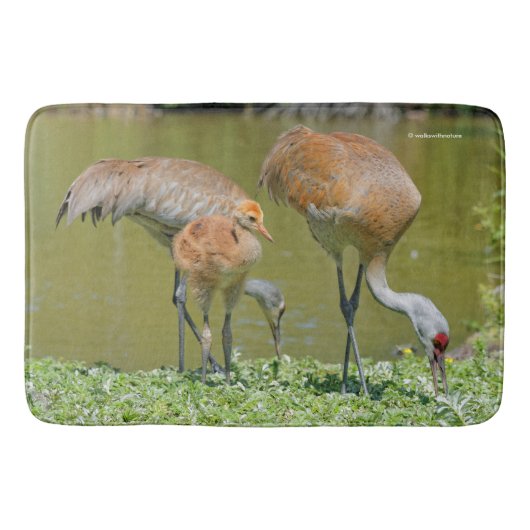 Sandhill Crane Eltern und Küken Badematte (Vorderseite)