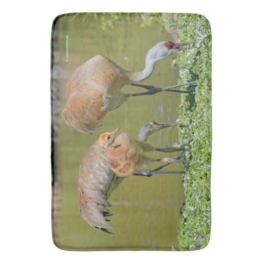 Sandhill Crane Eltern und Küken Badematte (Vorderseite Vertikal)