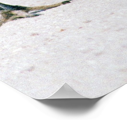 Sandhill Crane Famile print Poster (Ecke)