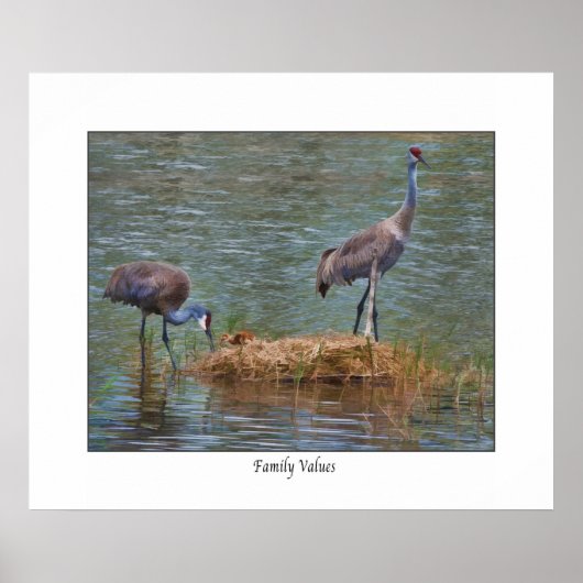 Sandhill Crane "Family Values" Print Poster (Vorne)