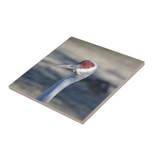 Sandhill Crane Fliese (Seite)