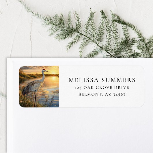 Sandhill Crane Florida Wetlands