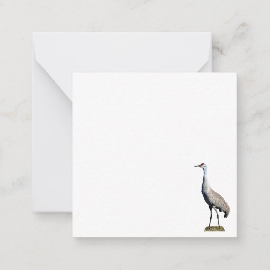 Sandhill Crane Foto Flat Note Card Mitteilungskarte (Vorderseite)