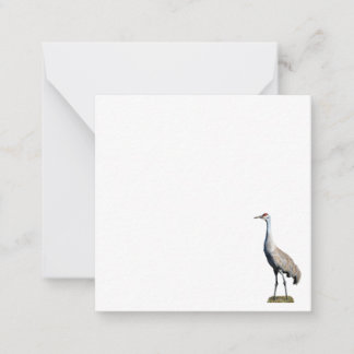 Sandhill Crane Foto Flat Note Card Mitteilungskarte