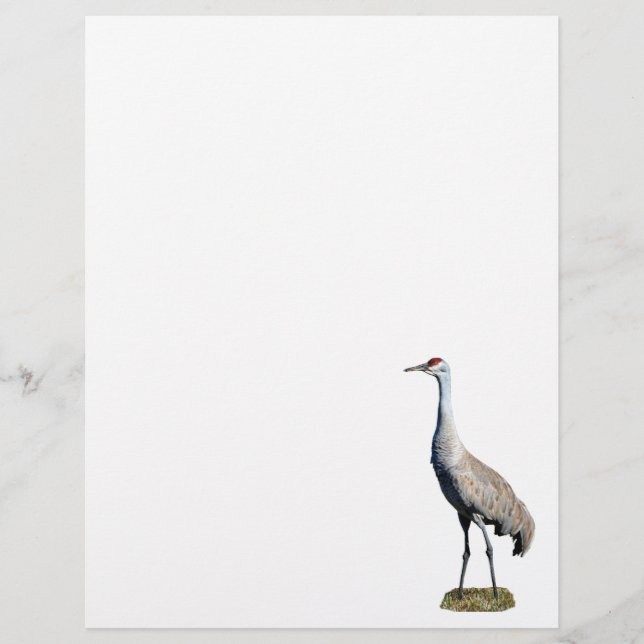 Sandhill Crane Foto Letterhead Paper Briefbogen (Vorderseite)