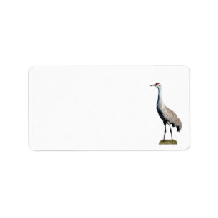 Sandhill Crane Foto Rücksendeadresse Adressaufkleber